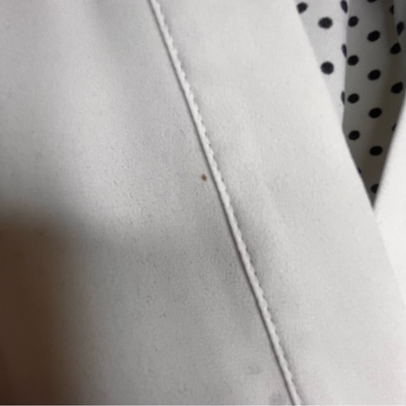 Pleione White and Polka Dot Pullover Blouse - Picture 4 of 4